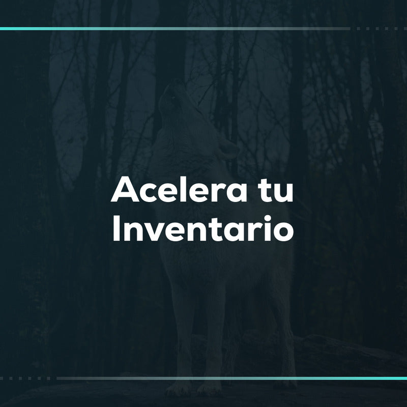 Carga Masiva de Productos